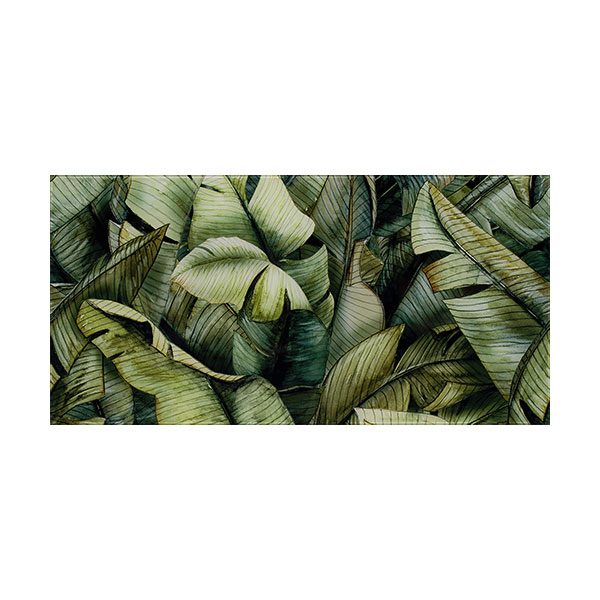 Paradyz Uniwersalne Inserto Leaf A 30x60 cm